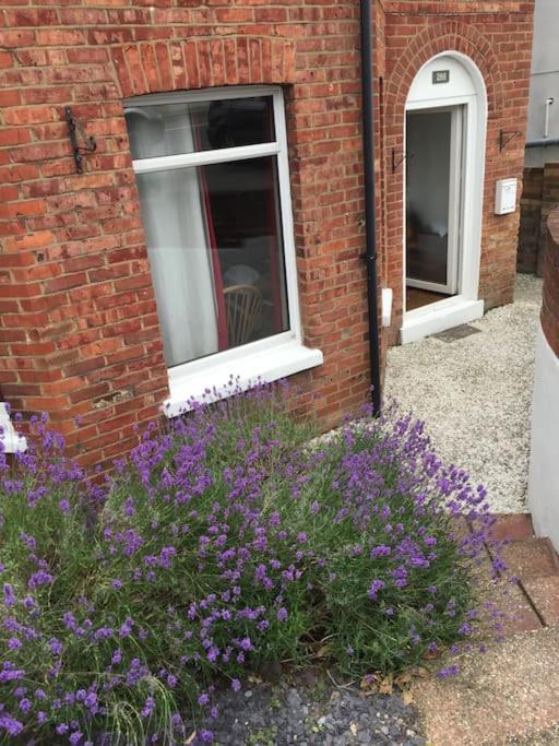 Spacious 5 Large Bedroom Victorian House - Beach 2 Miles Poole Eksteriør bilde